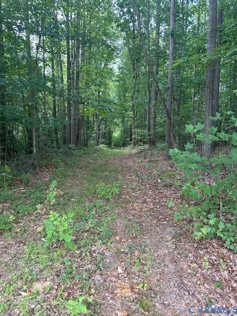 Tiny photo for 0 Ballsville Road, Powhatan, VA 23139 (MLS # 2601947)