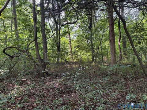 Tiny photo for Lot 4 Plum Tree Estates, Louisa, VA 23024 (MLS # 2619712)
