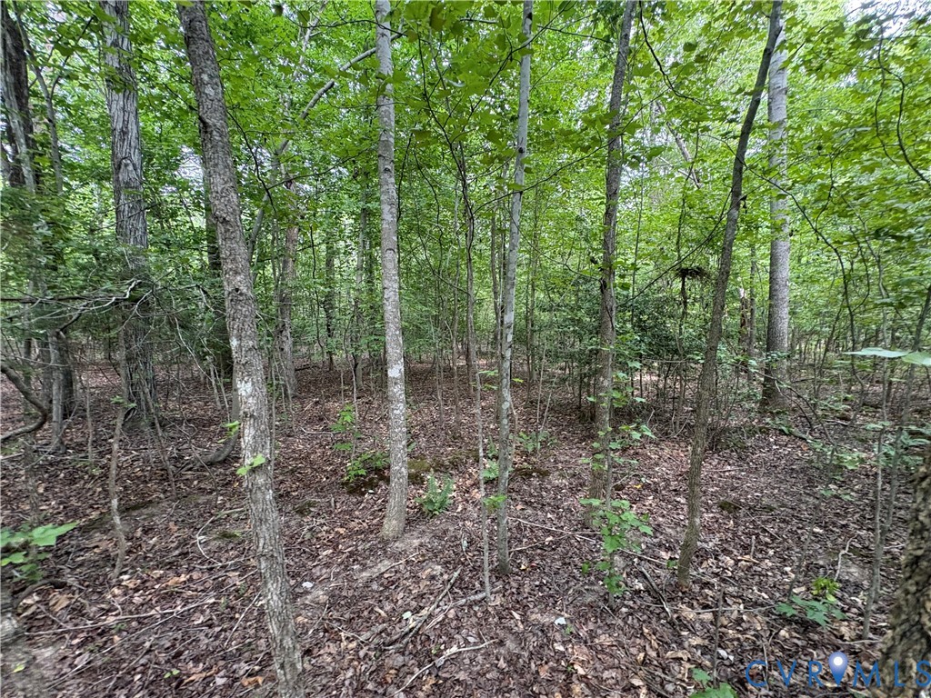 Lot 4 Plum Tree Estates, Louisa, VA, 23024