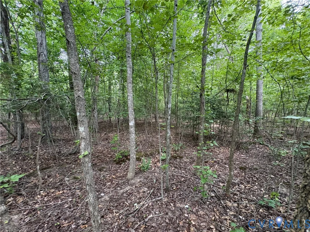 Lot 4 Plum Tree Estates