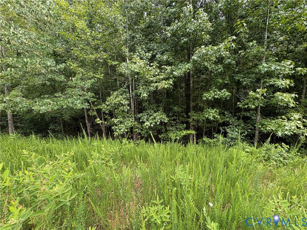 Lot 4 Plum Tree Estates