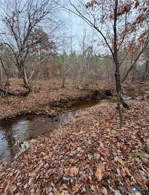 Tiny photo for TBD Perkins Mill Road, Dillwyn, VA 23936 (MLS # 2616909)