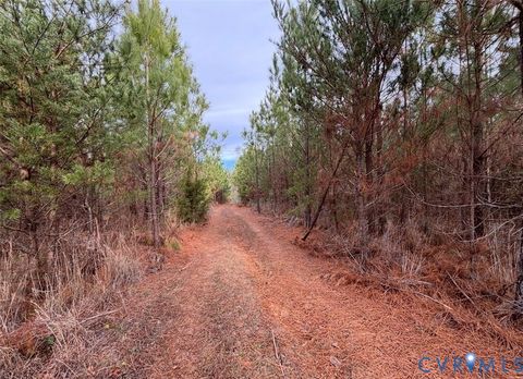 Tiny photo for TBD Perkins Mill Road, Dillwyn, VA 23936 (MLS # 2616909)
