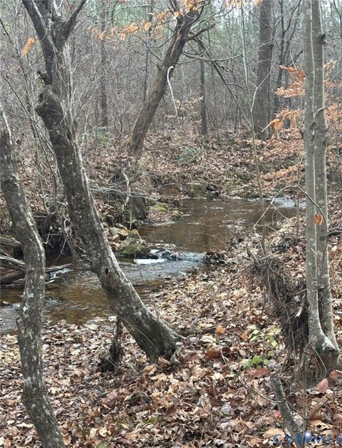 Photo of TBD Perkins Mill Road, Dillwyn, VA 23936 (MLS # 2616909)