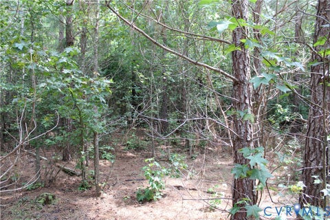 Tiny photo for TBD2 Olivet Church Road, New Kent, VA 23124 (MLS # 2622569)