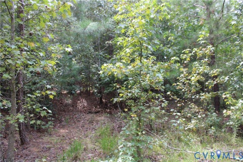 Tiny photo for TBD2 Olivet Church Road, New Kent, VA 23124 (MLS # 2622569)