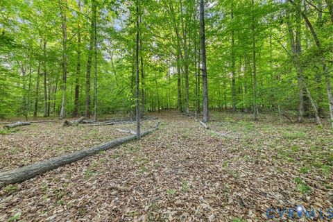 Tiny photo for 12427 Killigay Lane, Maidens, VA 23102 (MLS # 2610648)
