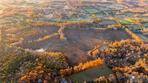 Tiny photo for 00 Kinneytown, Louisa, VA 23117 (MLS # 2531087)