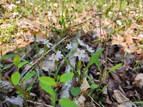 Tiny photo for Lot 15B Bent Creek Lane, Bumpass, VA 23024 (MLS # 2510207)