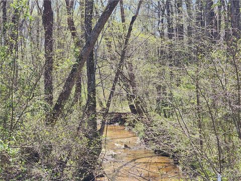 Tiny photo for Lot 15B Bent Creek Lane, Bumpass, VA 23024 (MLS # 2510207)