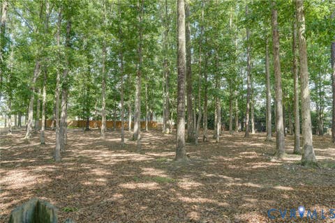 Tiny photo for 12919 Copperas Lane, Henrico, VA 23233 (MLS # 2619224)