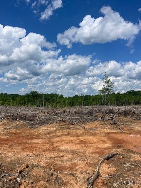 Tiny photo for 0 Germantown Road, Keysville, VA 23947 (MLS # 2512515)