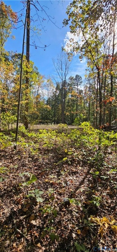 Tiny photo for 0 Old Buckingham Road, Powhatan, VA 23139 (MLS # 2533646)