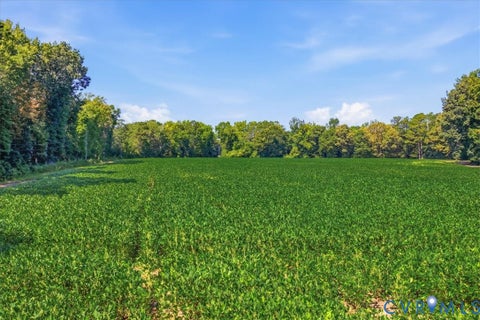 Tiny photo for 17130 Jacksons Lane, Waverly, VA 23890 (MLS # 2623447)