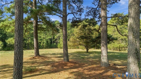 Tiny photo for 14221 Glebe Road, DeWitt, VA 23840 (MLS # 2626273)