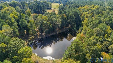 Tiny photo for 14221 Glebe Road, DeWitt, VA 23840 (MLS # 2626273)