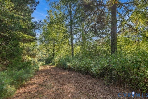 Tiny photo for 14221 Glebe Road, DeWitt, VA 23840 (MLS # 2626273)