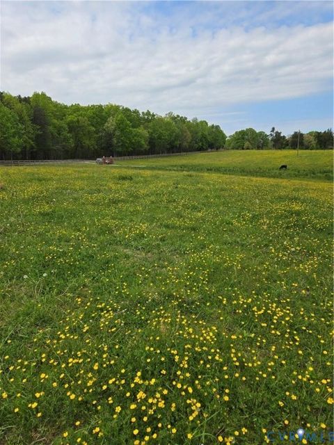 Tiny photo for 00 Perkinsville Lot 6 Road, Maidens, VA 23102 (MLS # 2533421)