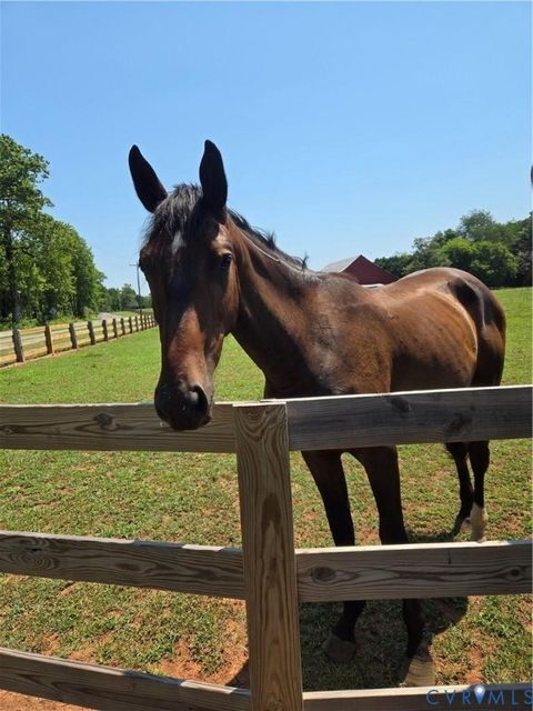 Tiny photo for 00 Perkinsville Lot 6 Road, Maidens, VA 23102 (MLS # 2533421)