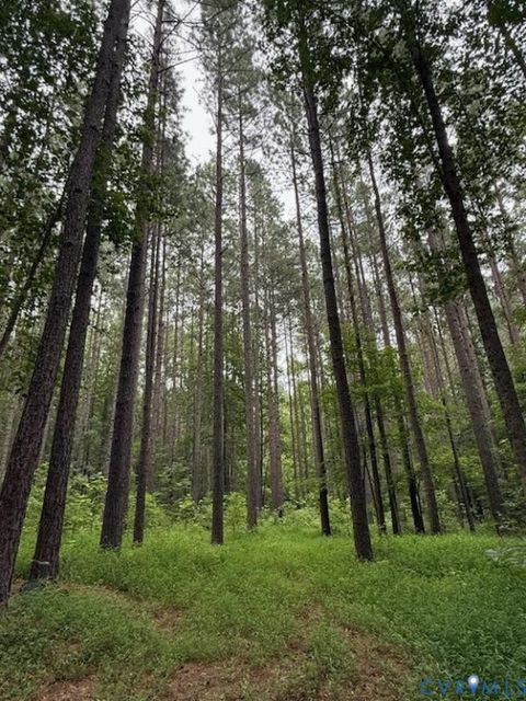 13 Acres Pridesville Road Amelia VA 23002