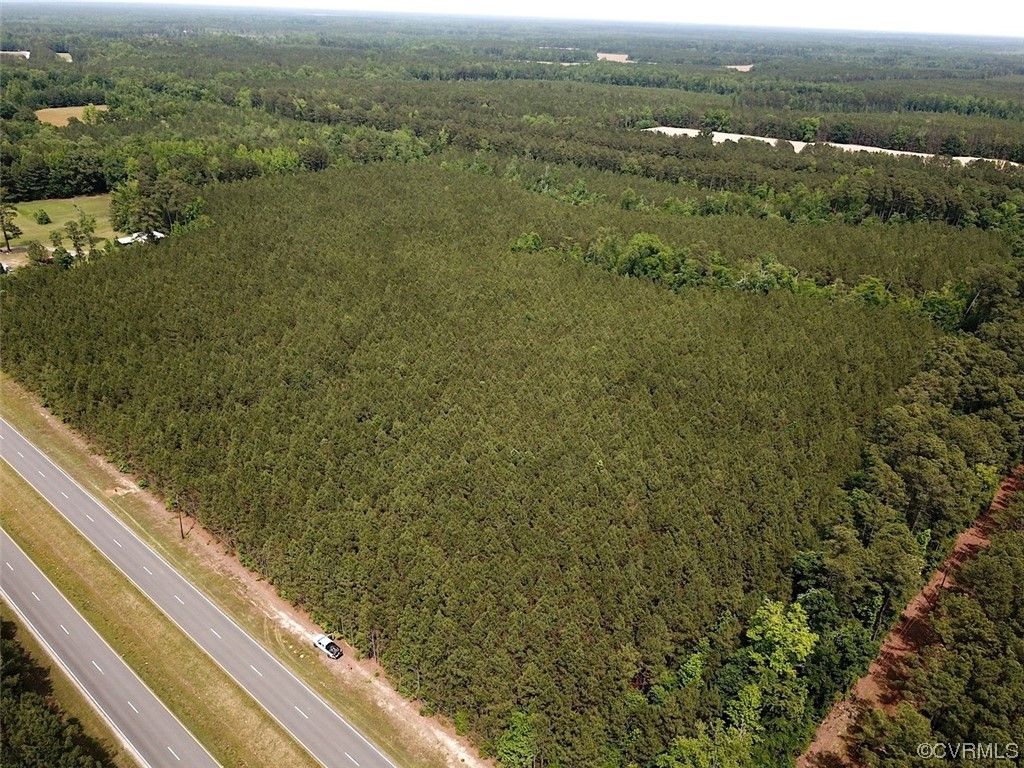 Photo for 28 Acres Blue Star Highway, Jarratt, VA 23867 (MLS # 2312756)