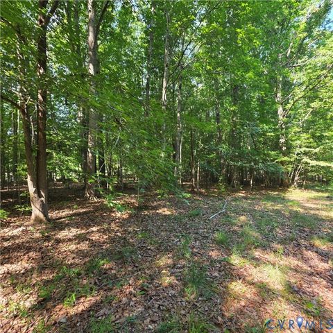 Photo of 12759 Wendy Lane, Amelia Courthouse, VA 23002 (MLS # 2617006)