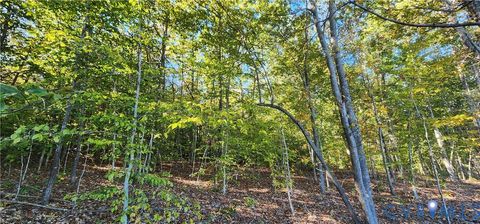 Tiny photo for 87 Old Fork Lane, Palmyra, VA 22963 (MLS # 2527988)