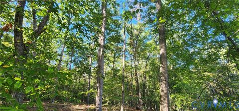 Tiny photo for 87 Old Fork Lane, Palmyra, VA 22963 (MLS # 2527988)