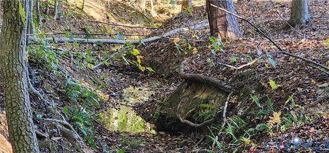Tiny photo for 87 Old Fork Lane, Palmyra, VA 22963 (MLS # 2527988)