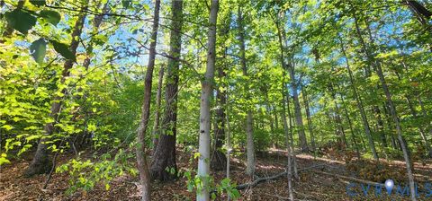 Tiny photo for 87 Old Fork Lane, Palmyra, VA 22963 (MLS # 2527988)