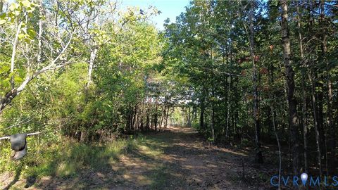 Tiny photo for 87 Old Fork Lane, Palmyra, VA 22963 (MLS # 2527988)