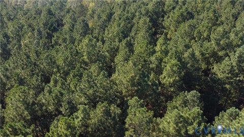 Tiny photo for 33.65 Acres Military Road, Amelia Courthouse, VA 23002 (MLS # 2626993)