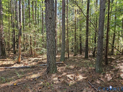 Tiny photo for 33.65 Acres Military Road, Amelia Courthouse, VA 23002 (MLS # 2626993)