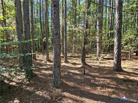 Tiny photo for 33.65 Acres Military Road, Amelia Courthouse, VA 23002 (MLS # 2626993)