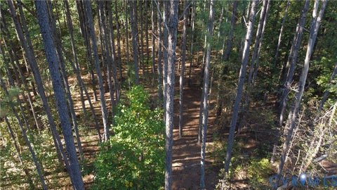 Tiny photo for 33.65 Acres Military Road, Amelia Courthouse, VA 23002 (MLS # 2626993)
