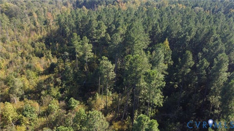 Tiny photo for 33.65 Acres Military Road, Amelia Courthouse, VA 23002 (MLS # 2626993)