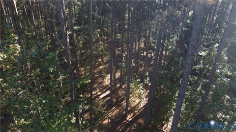 Tiny photo for 33.65 Acres Military Road, Amelia Courthouse, VA 23002 (MLS # 2626993)