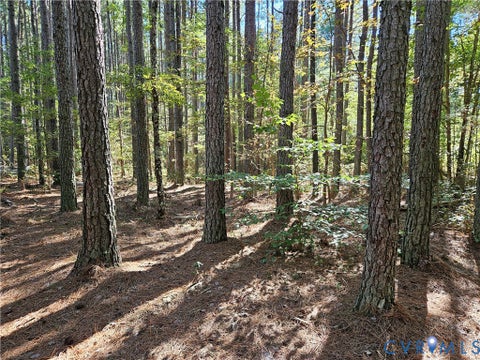 Photo of 33.65 Acres Military Road, Amelia Courthouse, VA 23002 (MLS # 2626993)