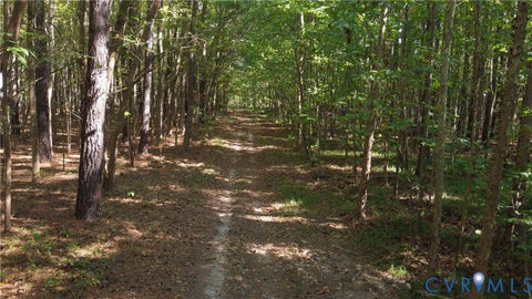 Tiny photo for 33.65 Acres Military Road, Amelia Courthouse, VA 23002 (MLS # 2626993)