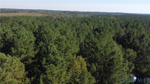Tiny photo for 33.65 Acres Military Road, Amelia Courthouse, VA 23002 (MLS # 2626993)
