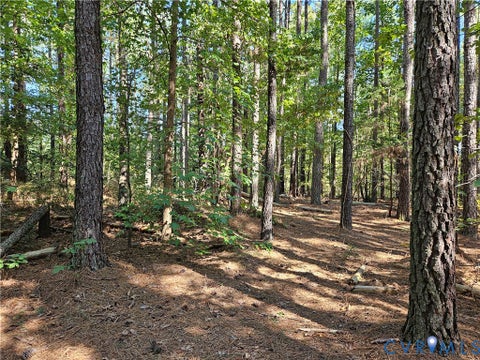 Tiny photo for 33.65 Acres Military Road, Amelia Courthouse, VA 23002 (MLS # 2626993)