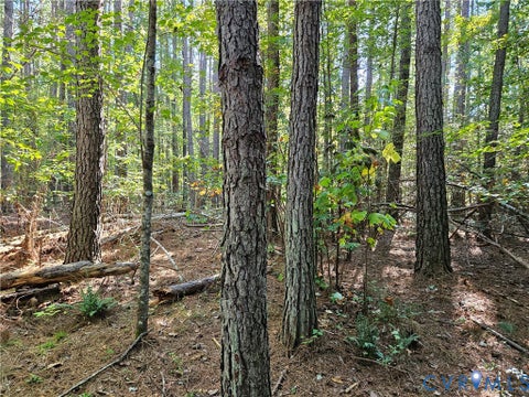 Tiny photo for 33.65 Acres Military Road, Amelia Courthouse, VA 23002 (MLS # 2626993)