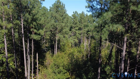 Tiny photo for 33.65 Acres Military Road, Amelia Courthouse, VA 23002 (MLS # 2626993)