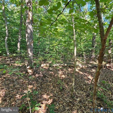 Tiny photo for 6202 Bills Road, Mineral, VA 23117 (MLS # 2529233)
