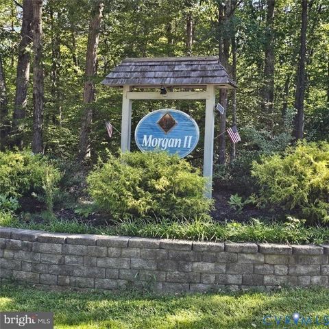 Tiny photo for 6202 Bills Road, Mineral, VA 23117 (MLS # 2529233)