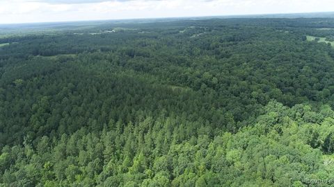 Tiny photo for 00 Genito Parkway, Jetersville, VA 23083 (MLS # 2520030)
