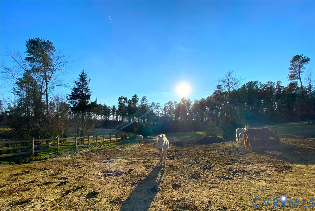 5 Acres Benchmark Trail