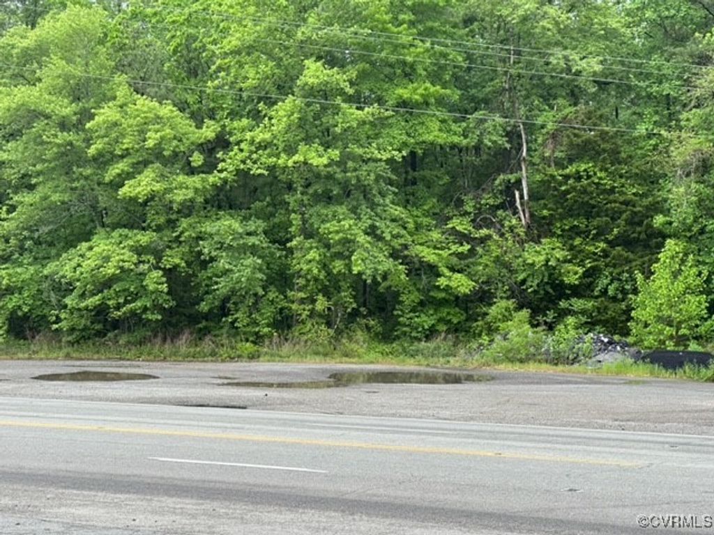 Photo for 0 Washington Highway, Doswell, VA 23047 (MLS # 2515324)