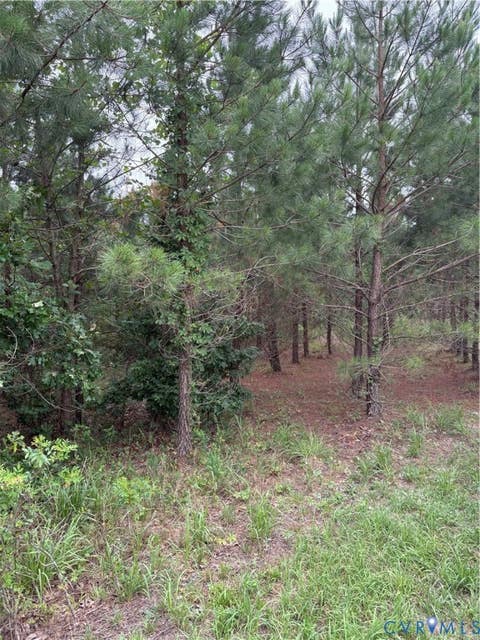 Tiny photo for Dinwiddie, VA 23841 (MLS # 2620364)