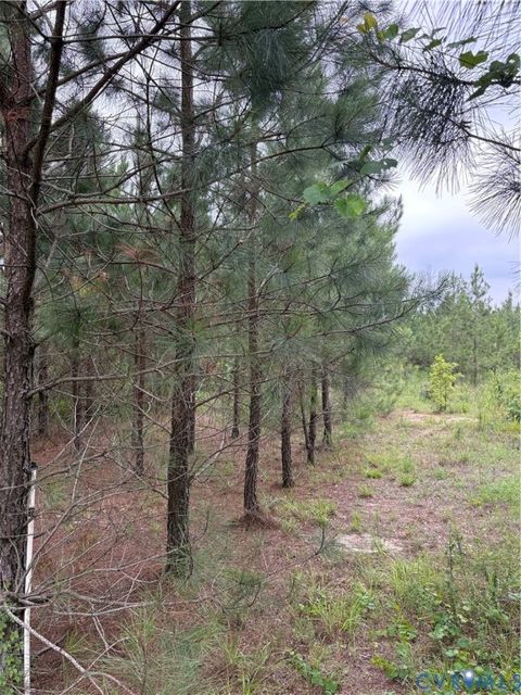 Photo of Dinwiddie, VA 23841 (MLS # 2620364)